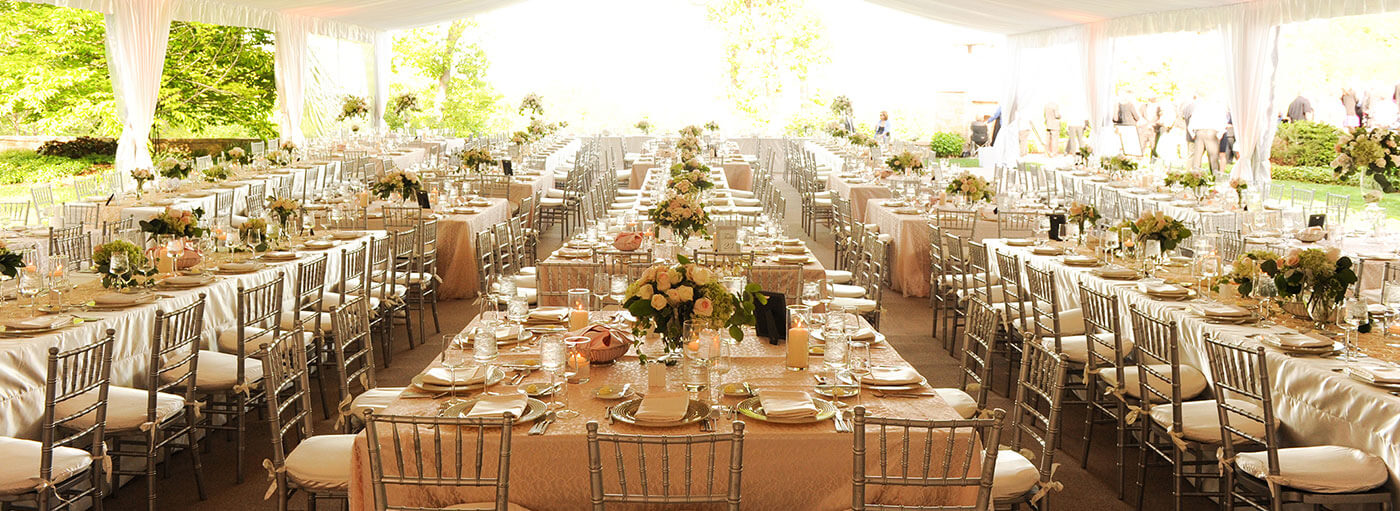 Design Effects Wedding Reception